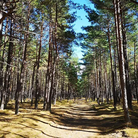 Apartment Max Relax Palanga, 2