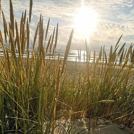 Apartment Max Relax Palanga, 2 *