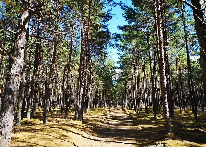 Apartment Max Relax Palanga, 2