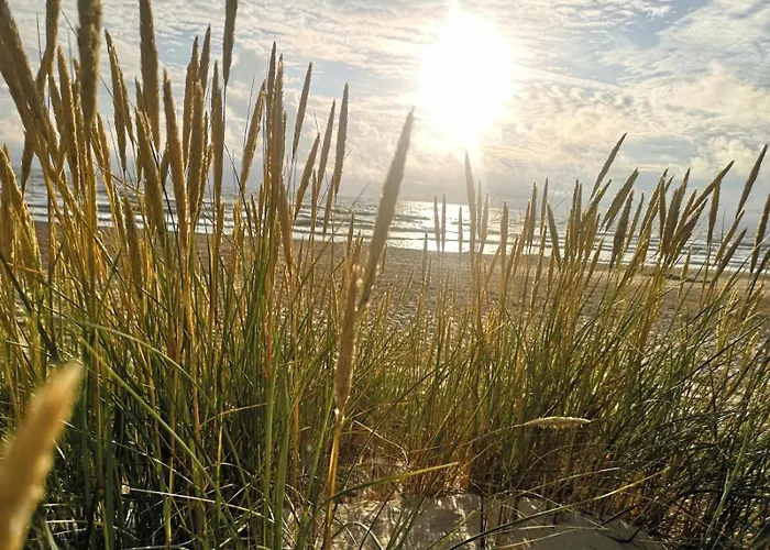 Apartment Max Relax Palanga, 2 *