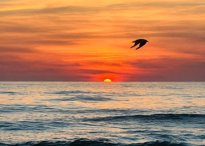 Max Relax Palanga, 2 Palanga